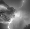 JAE HOON LEE Lightning Cross