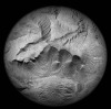 JAE HOON LEE Planet Lonely