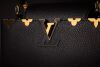 Louis Vuitton, LE Noir Taurillon Flower Crown Capucines Handbag MM, Limited Edition - 2