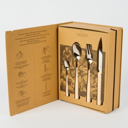 24 Piece Cutlery Set By Philippe Starck For Degrenne (Salmon)