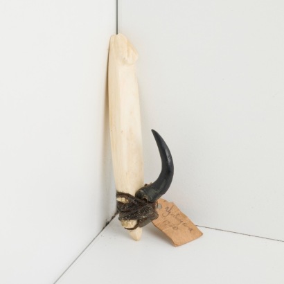 A Fishing Hook, Tonga