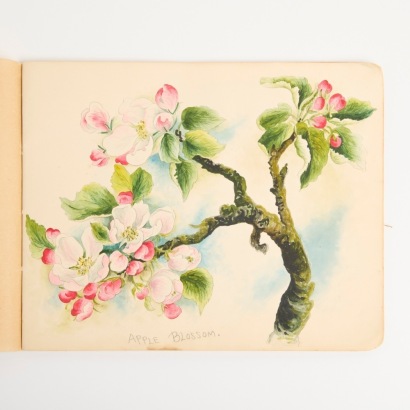 A Sketchbook Belonging to Jane Brenkley, Aotearoa