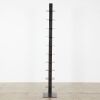 A Sapiens Style Bookcase