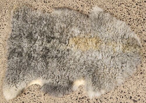A Grey Karakul Sheep Rug