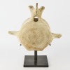 A Mounted Whale Vertebrae - 2