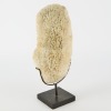 A Large Mounted Piece of Coral - 2