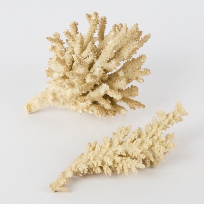A Pair Of Coral Pieces