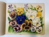 A Sketchbook Belonging to Jane Brenkley, Aotearoa - 12