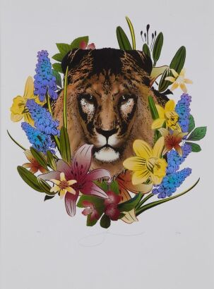 FLOX untitled