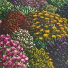KARL MAUGHAN Fendalton Garden