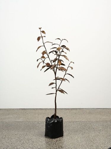 MICHAEL PAREKOWHAI The Moment of Cubism