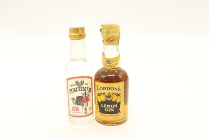 (1) Mixed Gin Miniatures, 2 Bottles Sold as One Lot