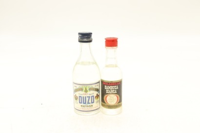 (1) Mixed Miniatures, 2 Bottles Sold as One Lot