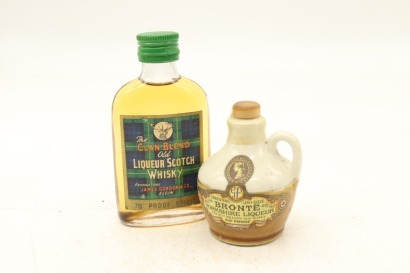 (1) Mixed Miniatures, 2 Bottles Sold as One Lot