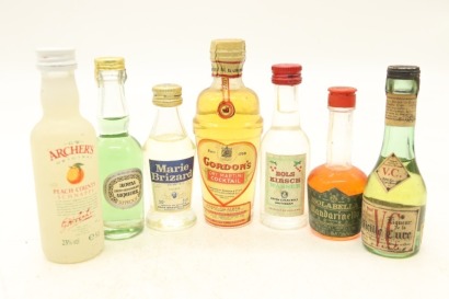 (1) Mixed Miniatures, 7 Bottles Sold as One Lot