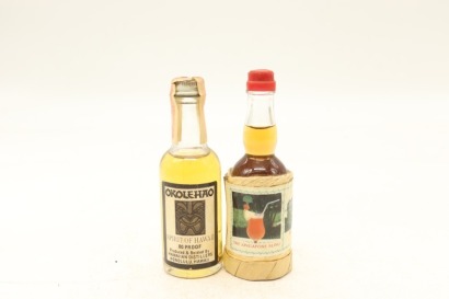 (1) Mixed Miniatures, 2 Bottles Sold as One Lot