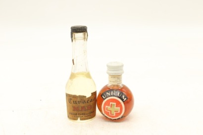 (1) Mixed Miniatures, 2 Bottles Sold as One Lot