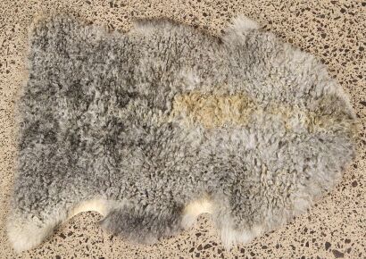 A Grey Karakul Sheep Rug