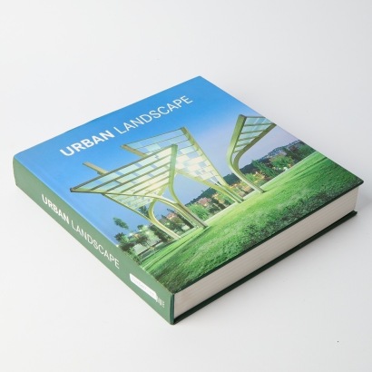Urban Landscape