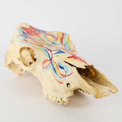 A Pinstriped Cow Skull