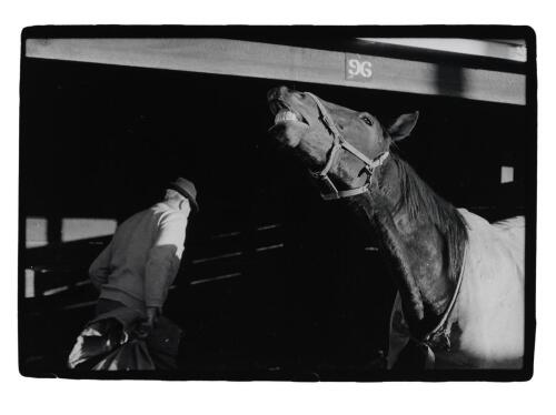 GLENN JOWITT untitled