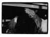 GLENN JOWITT untitled