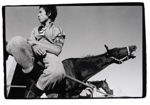 GLENN JOWITT untitled