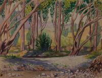 WILLIAM HENRY ALLEN Maitai River