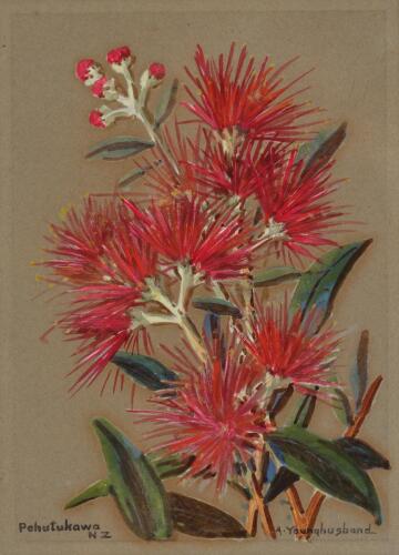 ADELE YOUNGHUSBAND Pohutukawa
