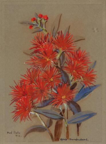 ADELE YOUNGHUSBAND Red Rata