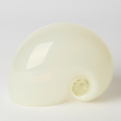 A Govanni New Zealand Glass Shell