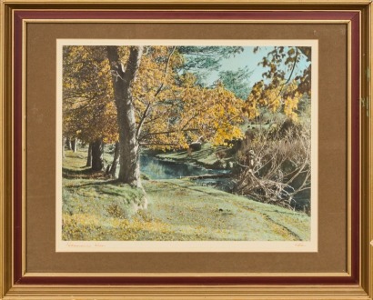 A Whites Aviation Hand Tinted Photograph Tokomairiro River