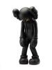 KAWS Small Lie