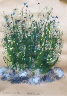STEVEN HEMMENS Cornflowers