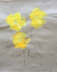 STEVEN HEMMENS Welsh Poppies