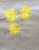 STEVEN HEMMENS Welsh Poppies