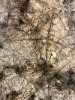 MIN RAYNER Paperstone I - 2