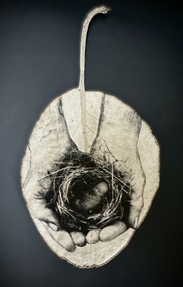 PRUE MACDOUGALL Nurture