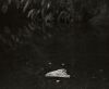 HANNAH ROSE ARNOLD River Cage (on the 309)