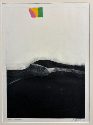 KATE COOLAHAN Radiation