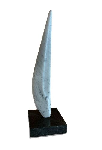 JOHNNY TURNER Ancestor's Sail