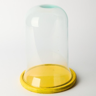 A Glass Cloche Dome