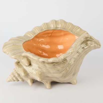 A Large Conch Shell Planter