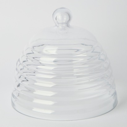 A Beehive Glass Dome