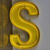 A Large Neon Capital S