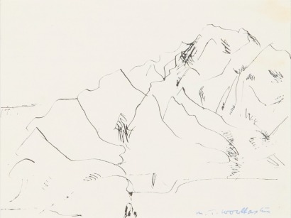 TOSS WOOLLASTON untitled