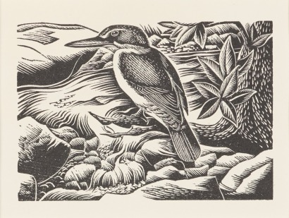 E. MERVYN TAYLOR Kingfisher