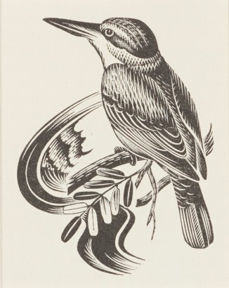 E. MERVYN TAYLOR Kingfisher