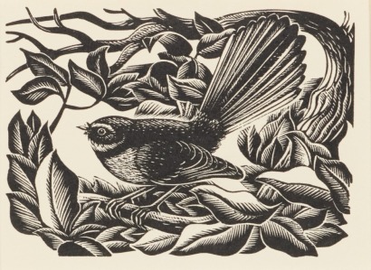 E. MERVYN TAYLOR Fantail