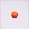 CJ HENDRY Jeni's Editions (Orange)
